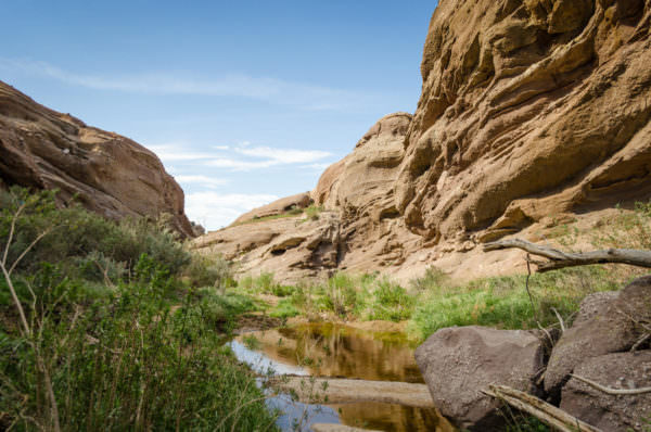 SPACEROCK Trail Race