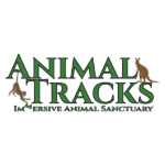 Animal Tracks